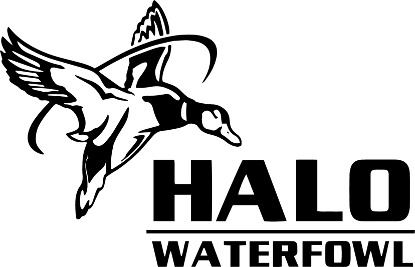 Horizontal Logo